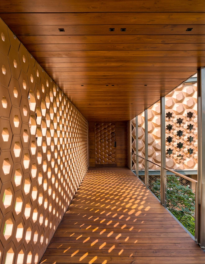 What is an Alveolus? Image