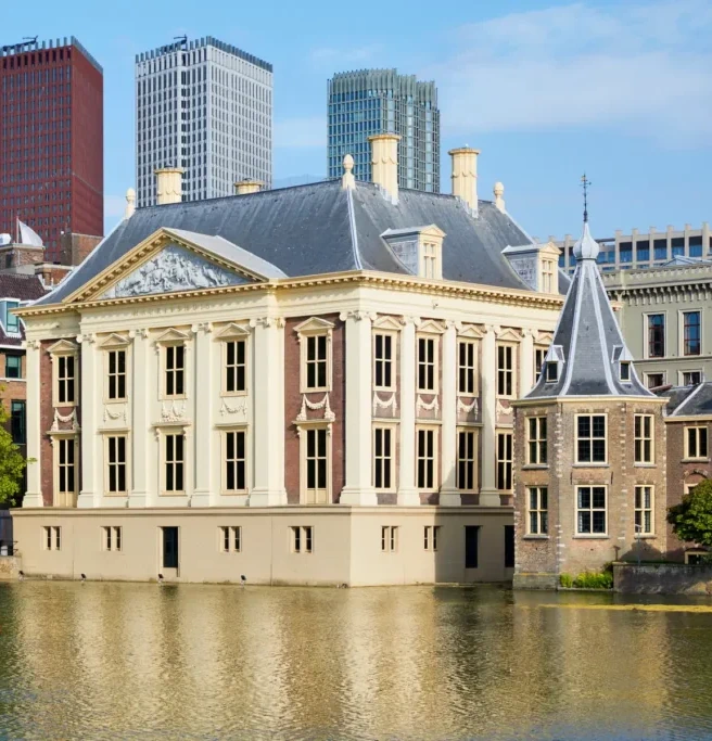 Mauritshuis - Hollanda, Lahey Görseli