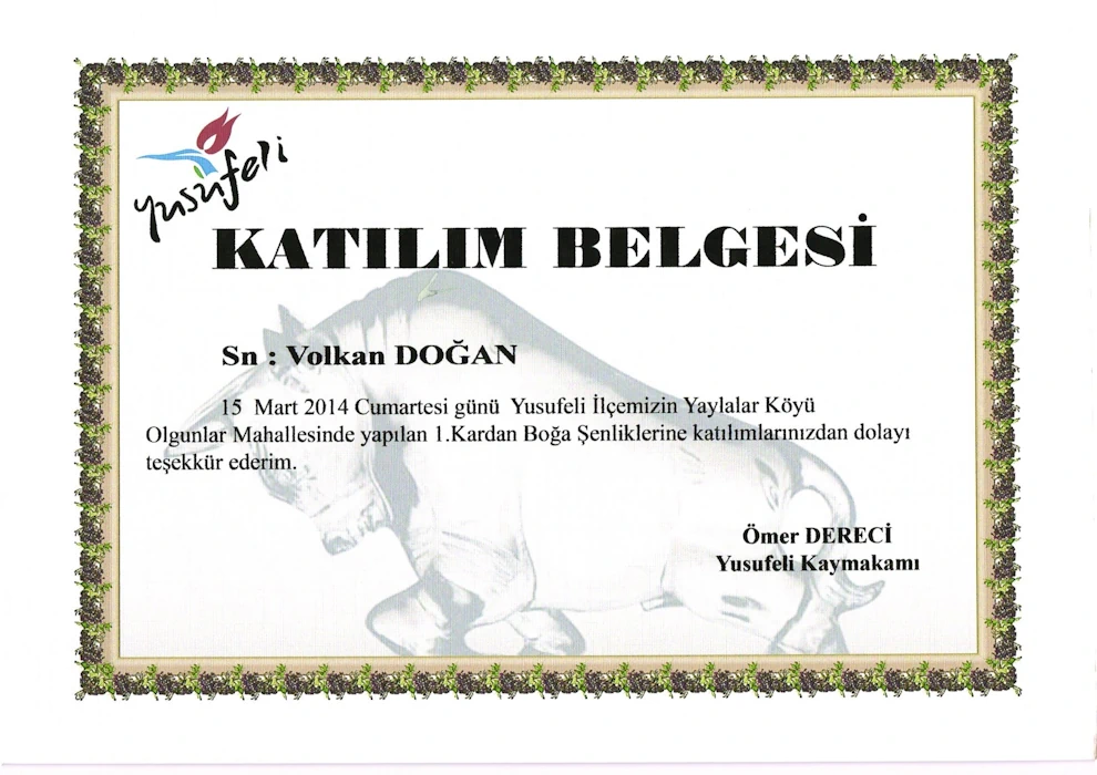 Yusufeli 1. Kardan Boğa Şenliği Katılım Belgesi 2014