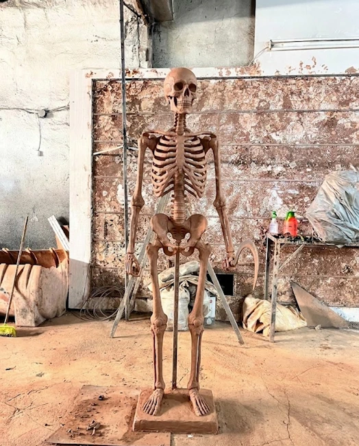 Skeleton Sculpture Image