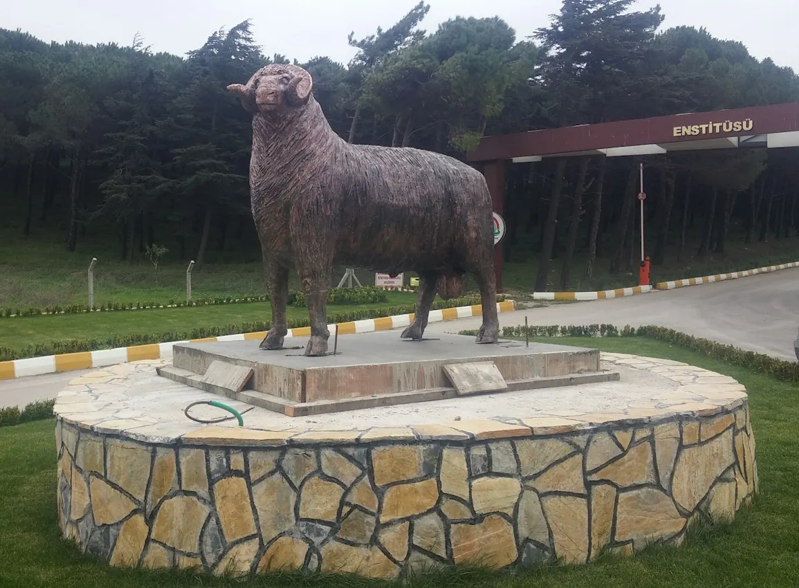 Ram Statue Image