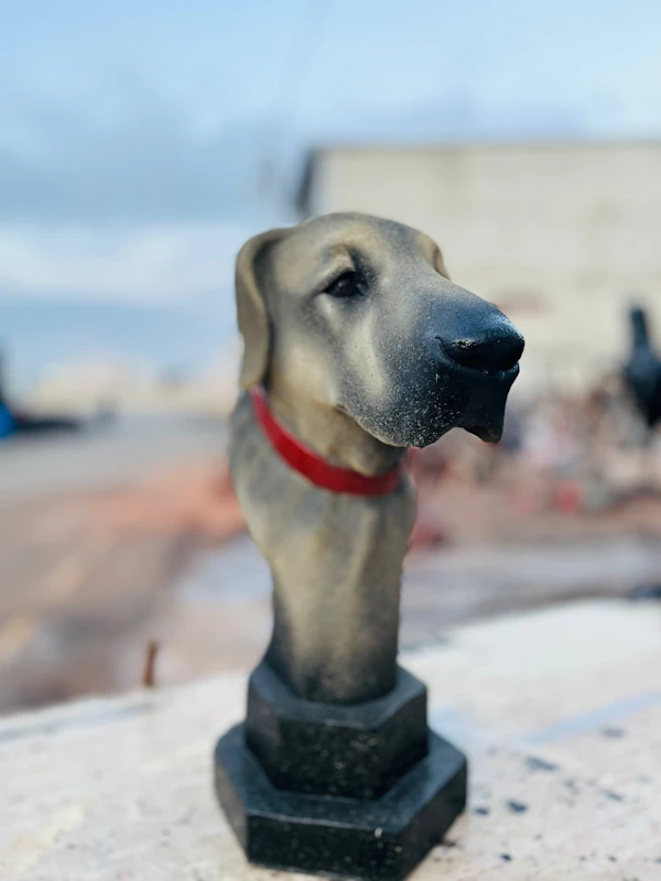 Dog Bust Image