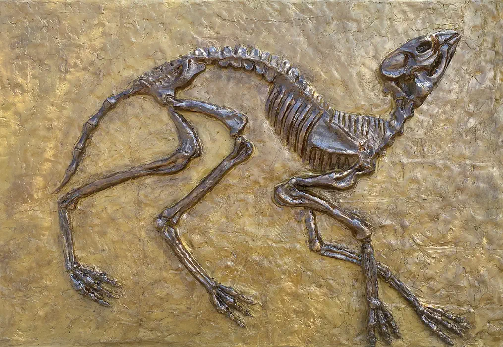 Rölyef Duvar Tablosu Görseli