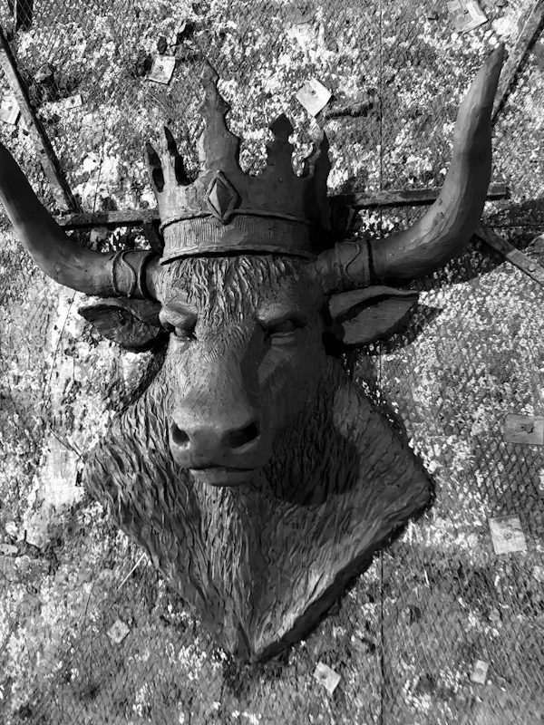 Decorative Crowned Bull Head Statue Frontal Detail View